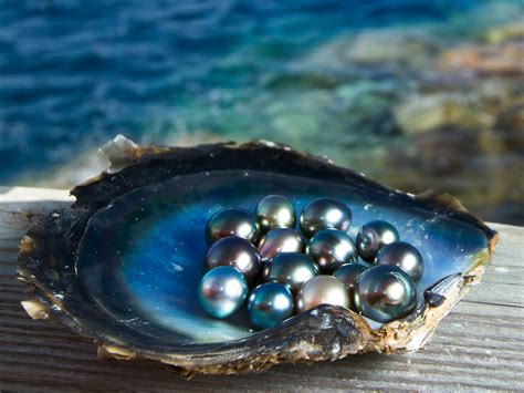 ‘Pearl’ is Coming to Blu.